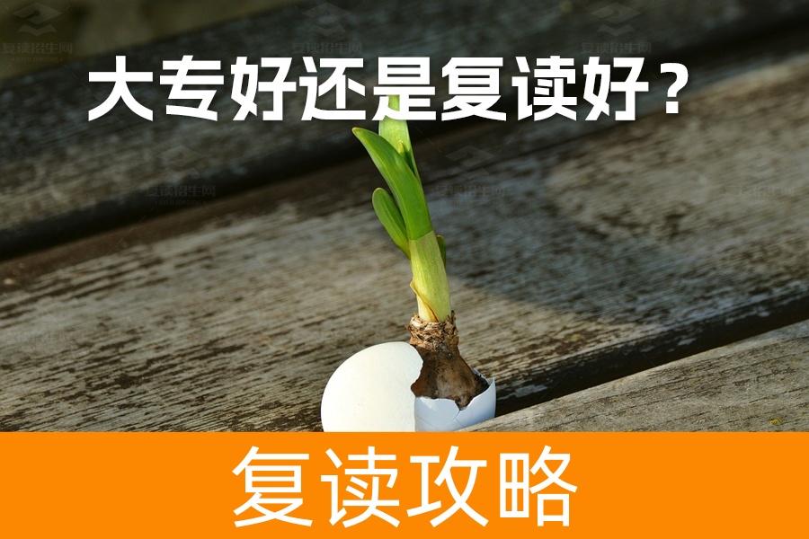 大专好还是复读好?如何做出最佳选择